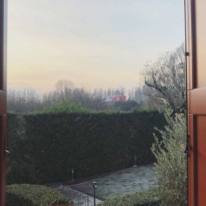 low_IMG_1377